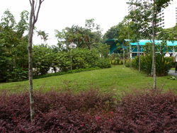 Blk 214 Petir Road (Bukit Panjang), HDB 3 Rooms #187452952